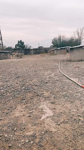 KoloshBulgaria on TikTok