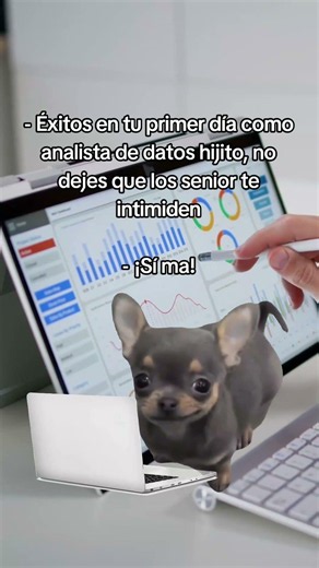 Yo en mi primer día de analista de datos: