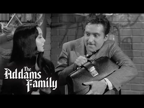 Addams’ Pet Lion “Kitty Kat” Intimidates Veterinarian | The Addams Family