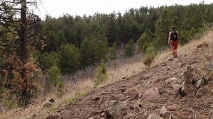 26K views · 74 reactions | "When I practice outside, I let the moment inspire my movement, and focus on what feels great for my body. Sometimes, it's feeling grounded, and sometimes, it's about going upside down." Yoga teacher Kelly Pende shares her love for the environment and a commitment to her health. | Yoga Journal | Facebook