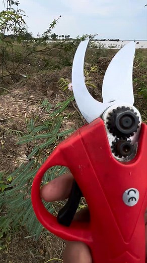 electric scissors easy use save time P2381 #tool | Louie Reid | Facebook