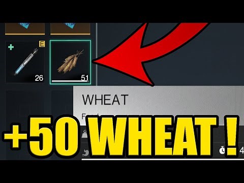 ONCE HUMAN BEST WHEAT LOCATION