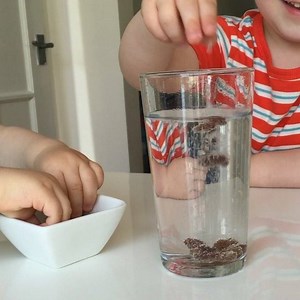 24K views · 131 reactions | This dancing raisins experiment is so easy. In a glass of any fizzy drink (I used sparkling mineral water) add raisins and enjoy the show! | TheDadLab | Facebook