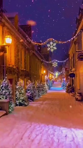 2024 Season Summary and Song Lyrics Breakdown