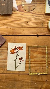 17K views · 45 reactions | Pairing beautiful pressed flowers with vintage frames. Perfection. | Meadow and Thyme | Facebook