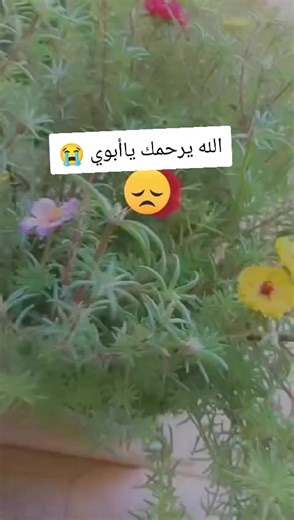 الله يرحمك ياأبوي ويغفرلك يآرب 🤲🏼😔