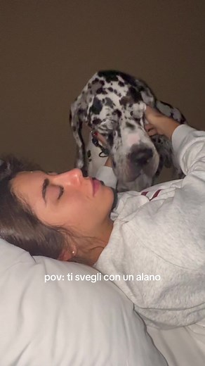 Buongiorno con Renato e il suo Alano