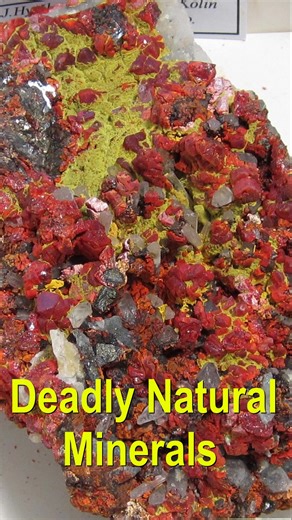 Avoid deadly and dangerous minerals | The Professional Prospector