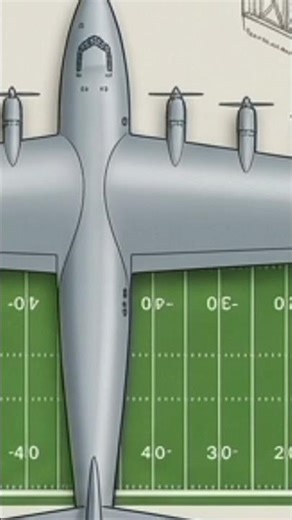The $1,000,000 Failure: Why This Giant Plane Flew Only Once? English Documentary