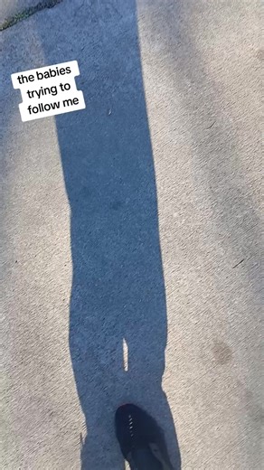 FRN (@kid2adult1)’s videos with original sound - FRN