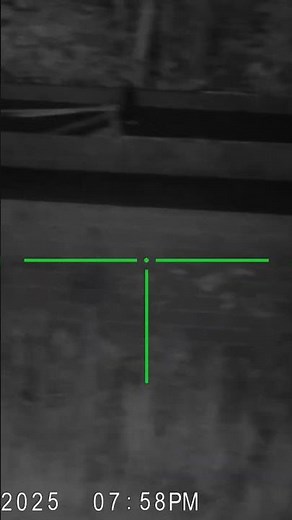 #nightvision sightmark wraith 4k mini. testing out new hog sniper ir illuminator