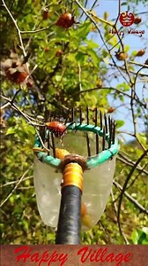 DIY Fruit Picker Tool Made from a Plastic Bottle #DIY #LifeHacks
