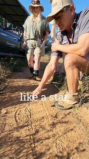 1.3K views · 15 reactions | Tracking is a crazy part of being a...