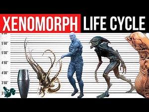 Xenomorph, Neomorph, Deacon Life Cycle | Evolution
