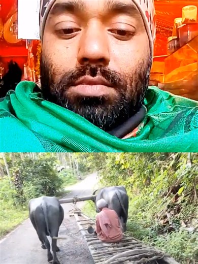 Explore Creator Portal Bangla for TikTok Insights