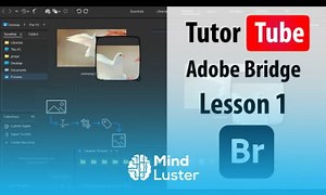 Mind Luster - Learn Adobe Bridge Lesson 1 Adobe Bridge Interface