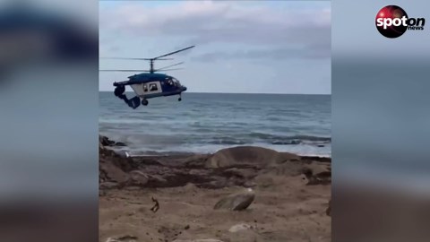 Russian helicopter crashes into beach house: Five dead