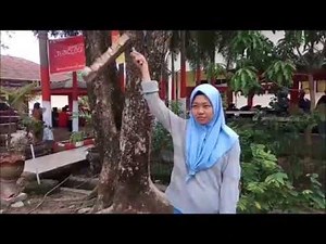 Bagaimana Menggunakan Psikrometer Sling 🔧🔧 Tips Untuk Pembaikan Rumah. Membuat Tangan Anda Sendiri - 2025