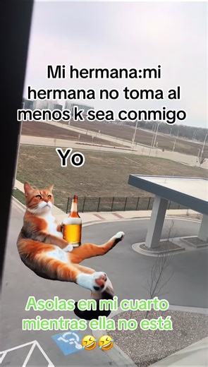 Creative Sister Memes That Capture Humor and Bonding