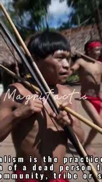 Meet The Yanomami Tribe, People Who Bury Their Dead Bu Eating Them