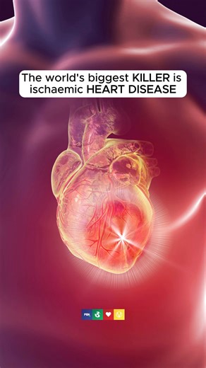 What Can We Learn From The Blue Zones? How are these people living such long and healthy lives?! They do eat mostly plant-based, and not just that but they all have a few things in common: naturally active lifestyles, a sense of purpose, ways to reduce stress and family or community around them 🤗 | Plant Based News