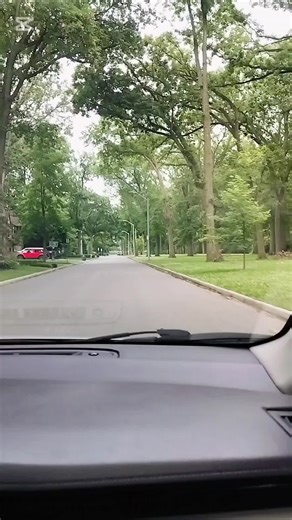 IQ Driving school on TikTok