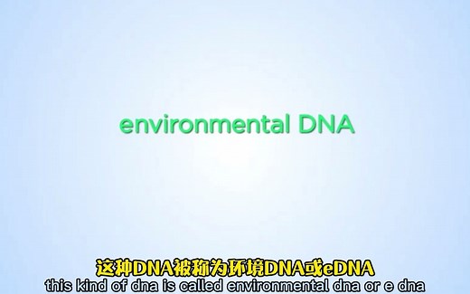 环境DNA是什么呢？什么是eDNA？科学家是如何检测的？