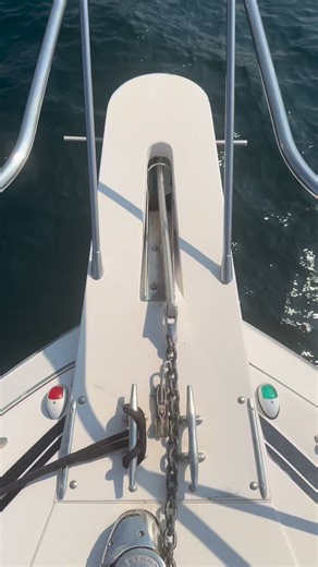 29K views · 785 reactions | We rented a boat for the day and took the family out on the water to watch whales. Amazing experience and a great reminder to step away from the noise and enjoy time together. | Berta Proud Dad | Facebook