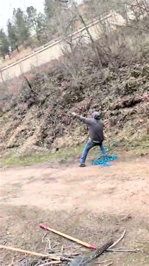 High-Risk Tree Pruning | Precision Cuts by Certified Arborists