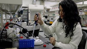 Dissection, Immunohistochemistry and Mounting of Larval and Adult Drosophila Brains for Optic Lobe Visualization