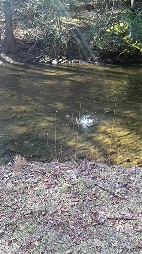 wv backwoods outdoors (@wvbackwoodsoutdoors)’s videos with original sound - wv backwoods outdoors