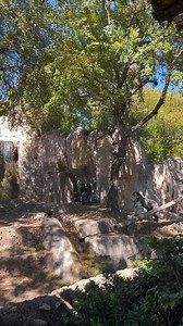 385K views · 953 reactions | Zookeeper tries to escape from Gorilla!! | Odigi Wonder | Facebook