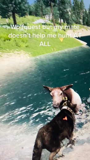 Understanding Wolf Behavior in WolfQuest Gameplay