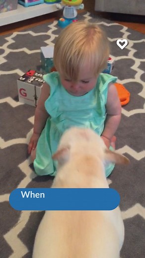 Baby Giggles while Dog Licks Her #giggles #babyanddog #dogadoption #dogloversofinstagram | Poke My Heart