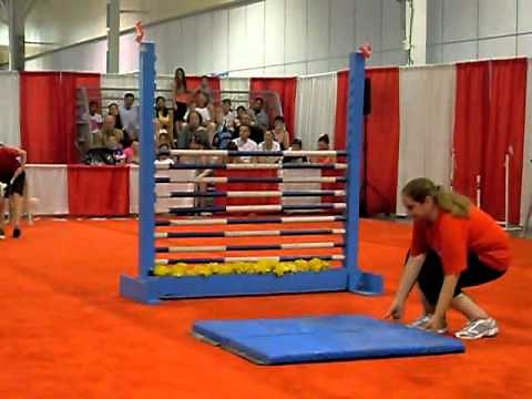 Dog Show - High Bar Jumping