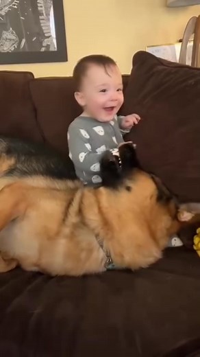 Both are special 💯💞❤️#germanshepherd #gsd #dogsofinstagram #gsdofinstagram #puppy #dogs #germanshepherdsofinstagram #germanshepherdpuppy #dogsofinstaworld #gsdlove #gsdpuppy #dogoftheday #puppiesofinstagram #puppylove #instadog #doglife #doglover #love #puppies #workingdog #reels #instagram #trending #viral #explore #instagood #explorepage #tiktok #reelitfeelit #follow #photography #fyp #reel #instadaily #followforfollowback #reelsvideo #likeforlikes #like #fashion #memes #foryou #reelkarofeel