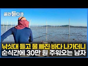 Catching 300 fish with one rod: The man who heads out at low tide and comes back with 300,000 won...
