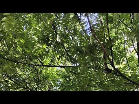 THE END OF ALL Live Stream