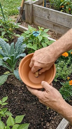 The Easiest Summer Garden Watering Hack