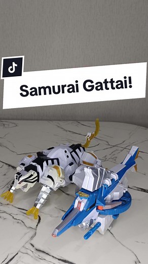 Samurai Sentai Shinkenger 😁✌️🤯 #Powerranger #supersentai #super #sentai #mechas #megazord #coleccion #juguete #juguetes #coleccionables #armables #importado #japon #japones #japo #peru #tiendaonline #tienda #tiendavirtual #tiendadejuguetes #viral #mundo #parati #megazord #mecha #powerrangerstoys #powerrangerscollector #powerrangerscollection #powerrangers #samurai #samuraigattai #shinkenger #shinkenoh #torashinkenoh #kajikishinkenoh #kajiki #tora #samuraimegazord