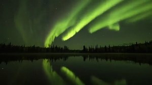 47 reactions · 9 comments | This is a performance you don’t want to...