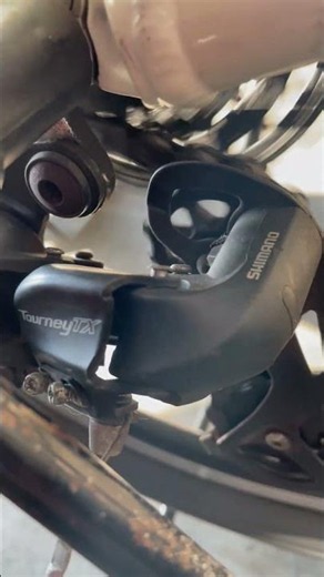Giant Snap 7-Speed Shimano Tourney TX Rear Derailleur Movement
