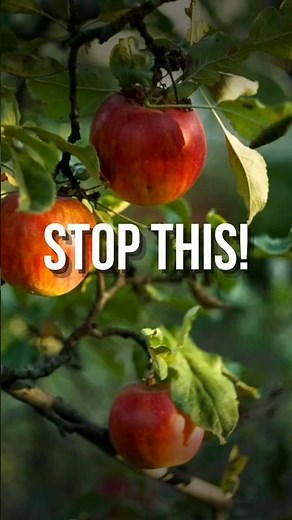 Best Time to Eat Apple for Maximum Benefits 🍎