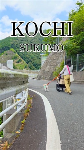 【高知県】夏休みに愛犬と行ける観光地