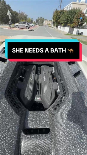 Lamborevuelto Needs a Bath