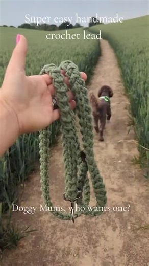 This handmade crochet dog lead is the easiest project and it lasts, stretchy yet very sturdy. #crochetersoftiktok #crochet #crochetaddiction #crochettutorial #dogs