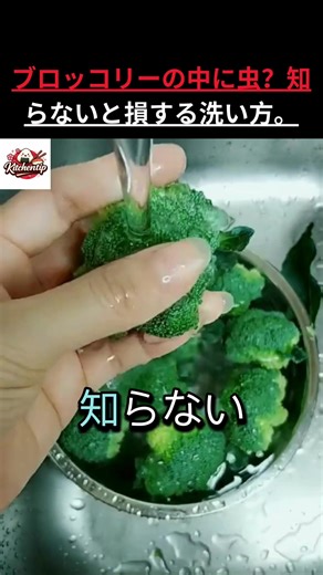 ブロッコリーの秘密と正しい洗い方