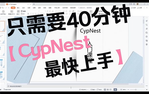 CypNest入门课程——CypCut VS CypNest