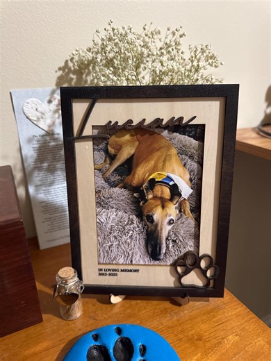 Dog Memorial Frame, Personalized Dog Photo Frame, Custom Dog Loss Gift, Dog Sympathy Gift, Rainbow Bridge Keepsake, Dog Remembrance - Etsy