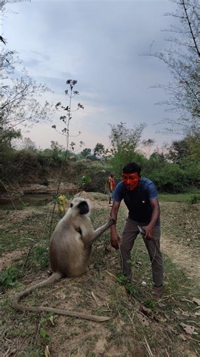 🐒 Mask Pehke Monkey Ko Dara Diya 😱😂 #shorts